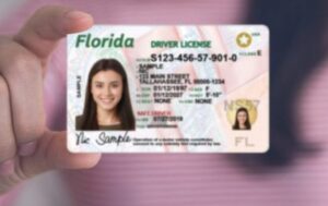 Most Common Fake ID States List